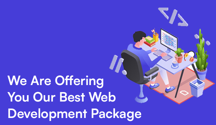 We Are Offering You Our Best Web Development Package